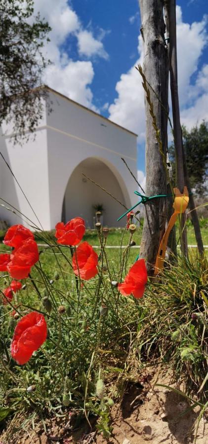 אוטרנטו B&B Villa Bello מראה חיצוני תמונה